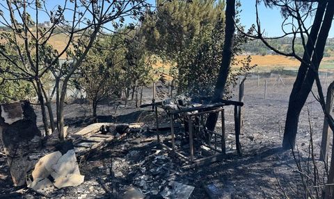 Büyükçekmece'de Yangın Kontrol Altına Alındı