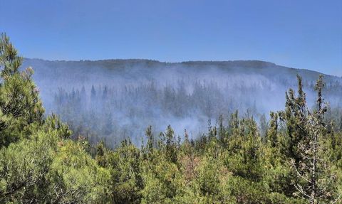 Çanakkale'de Orman Yangını Kontrol Altına Alındı
