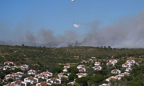 Çeşme'de Ziraat Alanında Başlayan Yangın Ormana Sıçradı