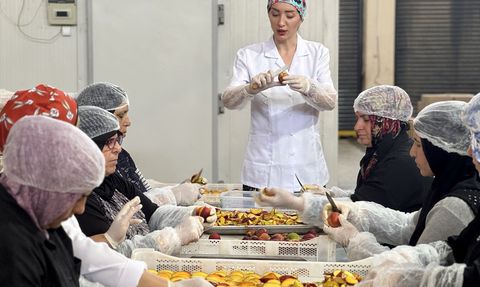 Depremzede Kadın Girişimciden İhracata Yeni Bir Adım