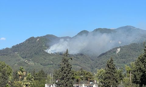 Dörtyol'da Orman Yangınına Müdahale Devam Ediyor