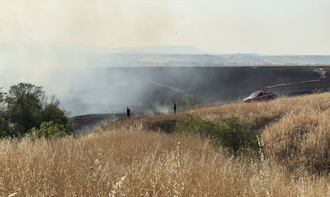 Edirne'de Buğday Tarlasındaki Yangın Kontrol Altına Alındı