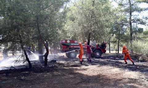 Fethiye'deki Orman Yangını Kontrol Altına Alındı