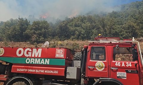 Gaziantep'te Orman Yangını Kontrol Altına Alındı