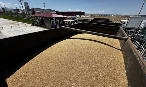 Iğdır'da Hububat Üretimi Lisanslı Depoculukla Artıyor