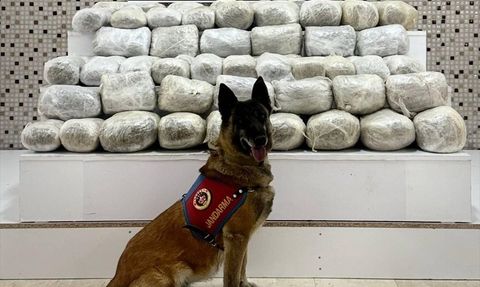 İran'dan Katırla Uyuşturucu Kaçakçılığı: 97 Kilogram Ele Geçirildi