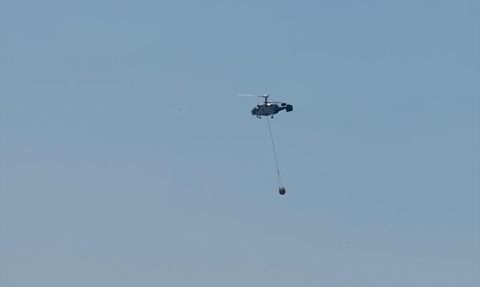 İstanbul Aydos Ormanı'nda Yangın Paniği