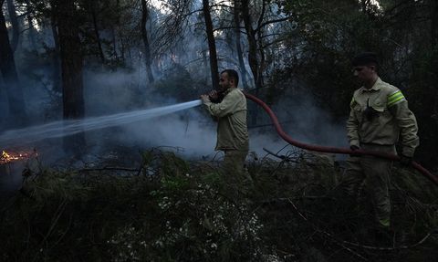İzmir Buca'daki Orman Yangınına Müdahale Devam Ediyor