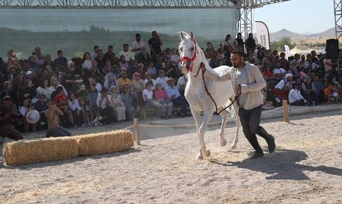Kapadokya'da At Güzellik Yarışması Coşkusu