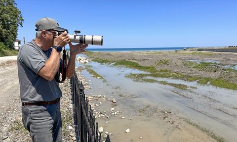 Kastamonu'da Nadir Kara Leylek Görüntülendi