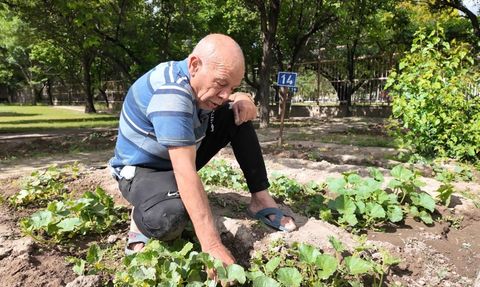 Kayseri'de Huzurevi Sakinleri Hobi Bahçeleriyle Keyifli Anlar Yaşıyor