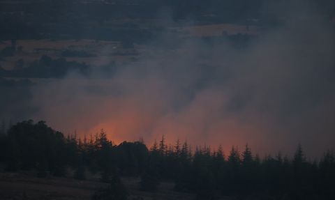 Kırklareli'nde Orman Yangını Kontrol Altına Alındı
