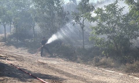 Kocaeli'de Ağaçlık Alanda Yangın Kontrol Altına Alındı