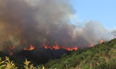 Kocaeli'de Yangın Söndürme Çalışmaları Devam Ediyor