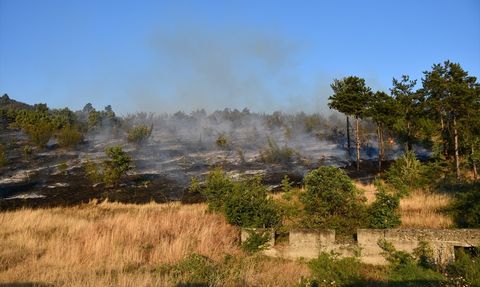 Kuzey Makedonya-Kosova Sınır Kapısı Yangın Nedeniyle Kapatıldı