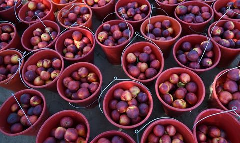 Lapseki Şeftalisinin İhracat Hedefi 70 Ton