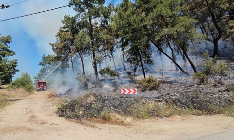 Manavgat Orman Yangını Kontrol Altına Alındı