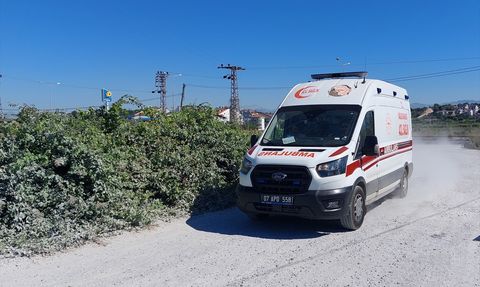 Manavgat'ta Kaçan Aslan Vuruldu, Bir Kişi Yaralandı