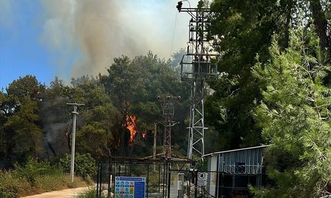 Manavgat'ta Orman Yangını: Müdahale Başladı