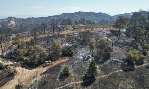 Manisa'daki Orman Yangınları Havadan Görüntülendi