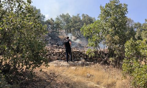 Mardin'de Orman Yangını Kontrol Altına Alındı