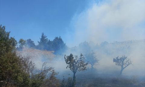 Mersin'de Tarım Arazisinde Yangın Kontrol Altına Alındı