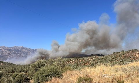 Milas'ta İkinci Orman Yangını İle Mücadele Devam Ediyor