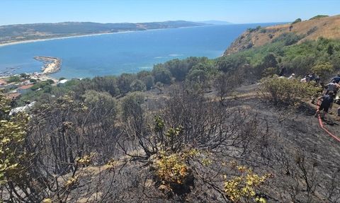 Mudanya'da Zeytinlik Yangını Kontrol Altına Alındı