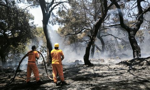 Muratpaşa'da Orman Yangını: Hava ve Kara Müdahale Başlatıldı