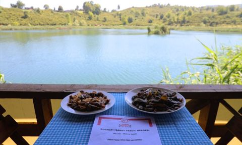 Ordu Fırın Fasulyesi Kavurması Coğrafi İşaretle Tescillendi