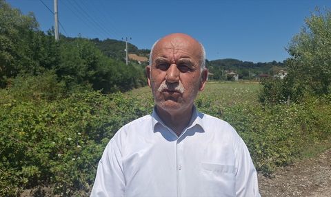 Samsun'da Tarım Arazileri Su Taşkınından Zarar Gördü