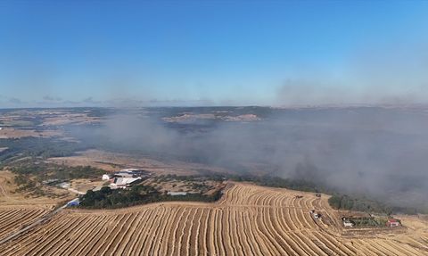Silivri Orman Yangını: Müdahale Devam Ediyor