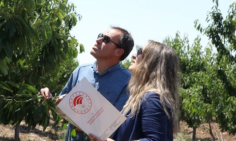 TBMM Komisyonu Eskişehir'deki Kiraz Bahçelerinde İncelemelerde Bulundu