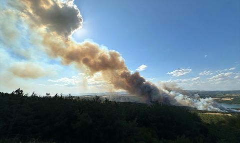 Tekirdağ'da Orman Yangınına Hızla Müdahale