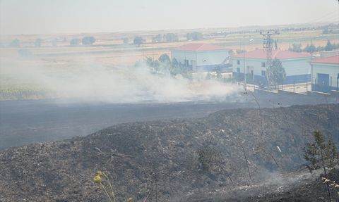 Tekirdağ'da Tarım Alanında Yangın Kontrol Altına Alındı