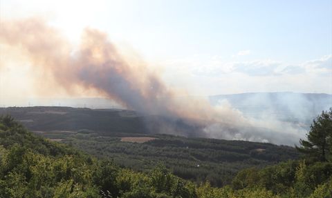 Tekirdağ'daki Orman Yangınına Hava ve Kara Müdahale