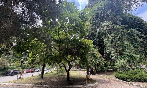 Türkiye'nin İlk Arboretumu: Atatürk Arboretumu