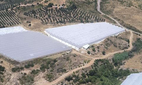 Yangın Antalya'da Kontrol Altına Alınmaya Çalışılıyor