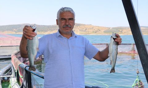 Yozgat'tan Avrupa'ya İhracat: Türk Somonu ve Alabalıklar