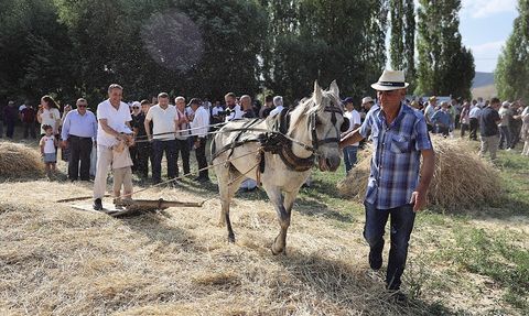 6. Harman Festivali Bayburt'ta Başladı