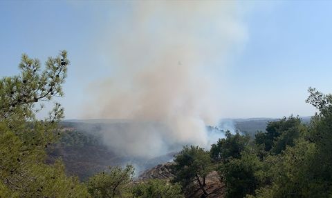Adana Sarıçam'da Orman Yangınına Müdahale Ediliyor