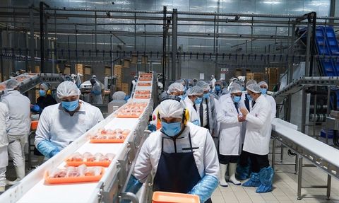 Bakan Kacır, Erzincan Tavuk Kombinası'nı İnceledi