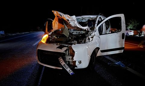 Bingöl'de Hafif Ticari Araç Ata Çarptı