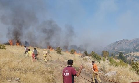 Bingöl'de Orman Yangını Kontrol Altında