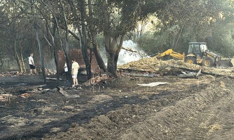 Bolu'da Anız Yangını Büyüdü: 3 Ev, 2 Ahır ve 2 Samanlık Kül Oldu