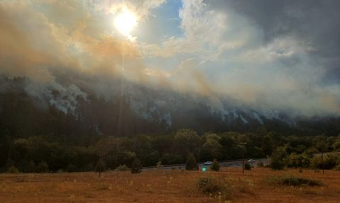 Bolu'daki Orman Yangını Kısmen Kontrol Altına Alındı