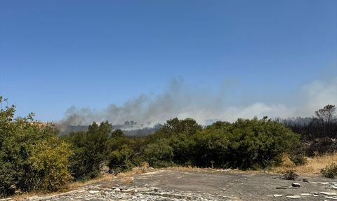 Bursa'daki Orman Yangını Kontrol Altına Alındı
