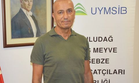 Bursa Siyah İncirinin İhracat Sorunları: UYMSİB Başkanı Yazgan'dan Açıklamalar