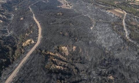 Çanakkale'deki Yangın Sonrası Zarar Gören Alanlar Dron ile İncelendi