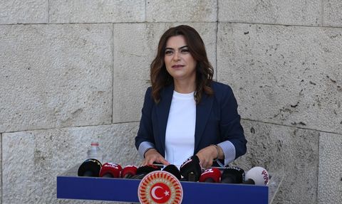 DEM Parti'den Milli Dayanışma Açıklamaları